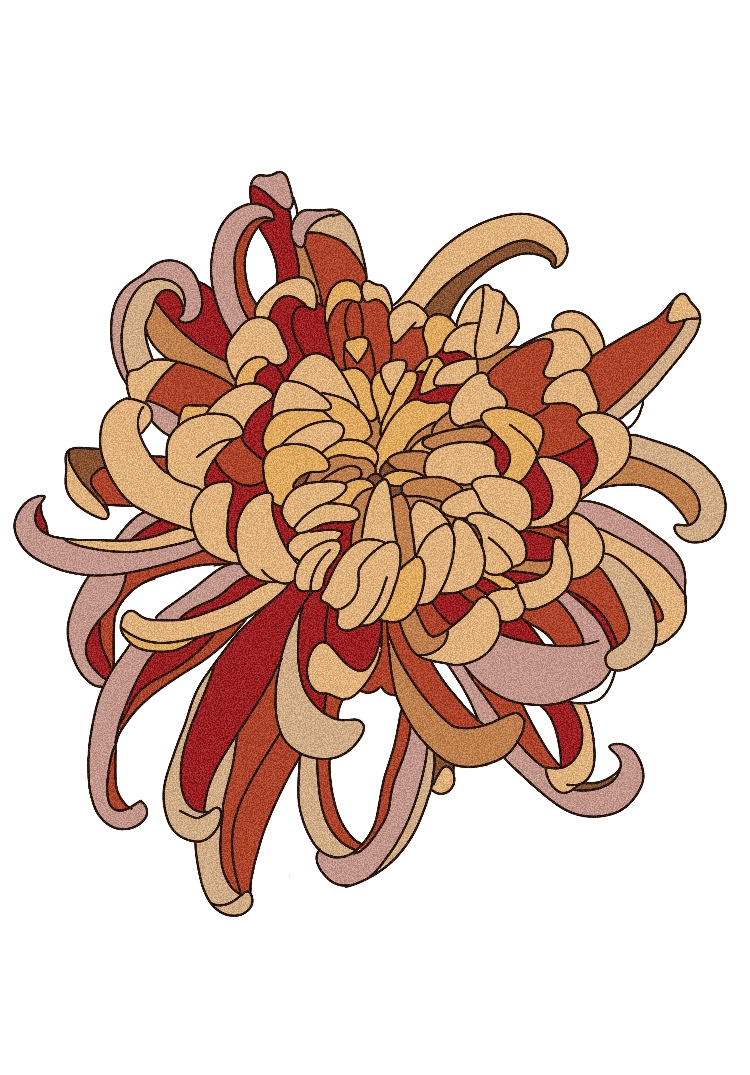 Chrysanthemum II
